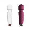  MINI WANDERFUL DORCEL ARGENT et ROSE
