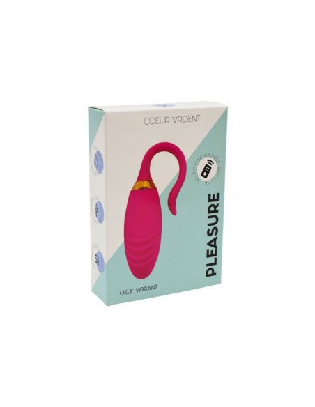 PLEASURE, Un Œuf vibrant USB avec télécommande, dans un silicone médical doux et rainuré 
