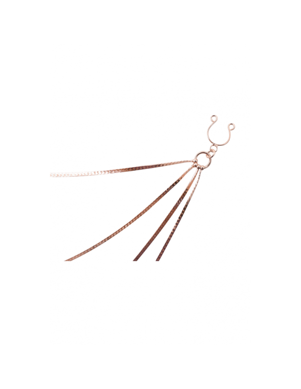 bijou pinces tétons avec 4 chainettes doré rose 