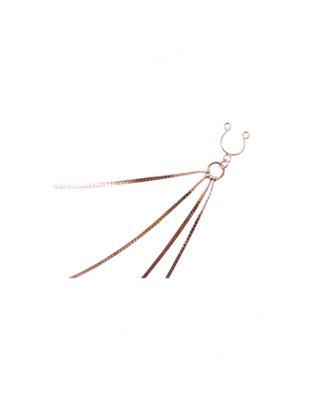 bijou pinces tétons avec 4 chainettes doré rose 