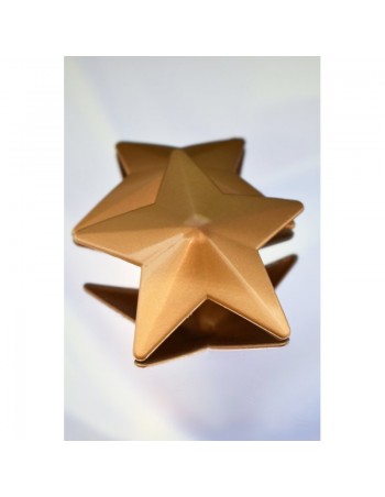 Nipple Métal doré Cache tétons étoile  2