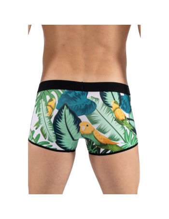 Boxer imprimé oiseau chanteur, Bird Singer  2