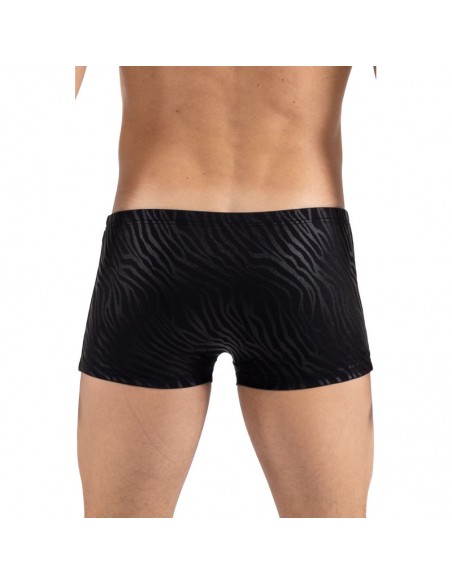 Boxer noir  gold Zebra 