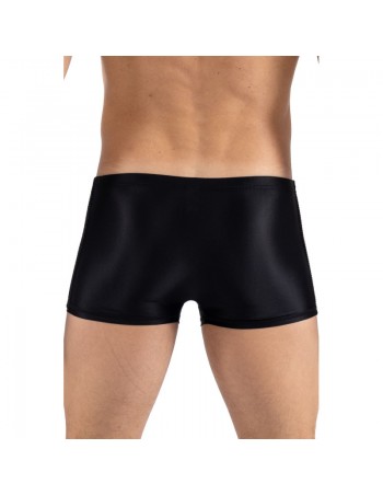 Boxer noir Daring  2