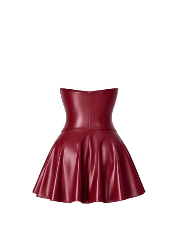 F397 Dark romance corset mini robe